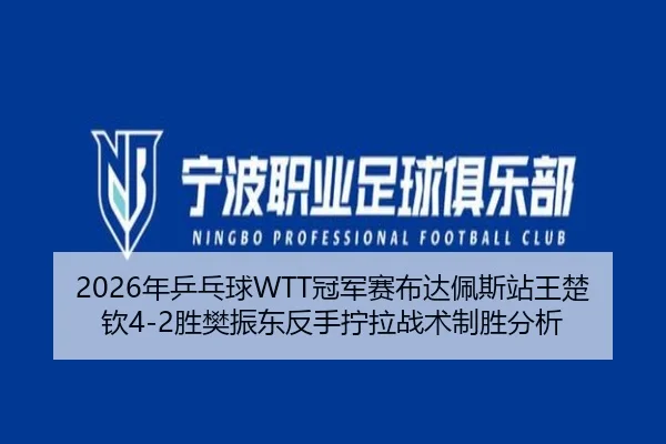 2026年乒乓球WTT冠军赛布达佩斯站王楚钦4-2胜樊振东反手拧拉战术制胜分析